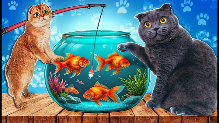 КОТЫ в ШОКЕ - ВПЕРВЫЕ УВИДЕЛИ РЫБОК | Котенок Персик УПАЛ в АКВАРИУМ с Рыбками… Новые Питомцы!