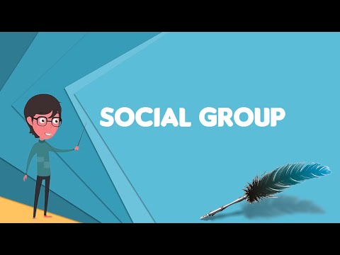 What is Social group? Explain Social group, Define Social group, Meaning of Social group