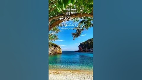 اللهم اجعل القرآن الكريم نورا لنا في الدنيا والآخرة #قرآن #تلاوات #سبحان_الله #راحة_نفسية #اكسبلور