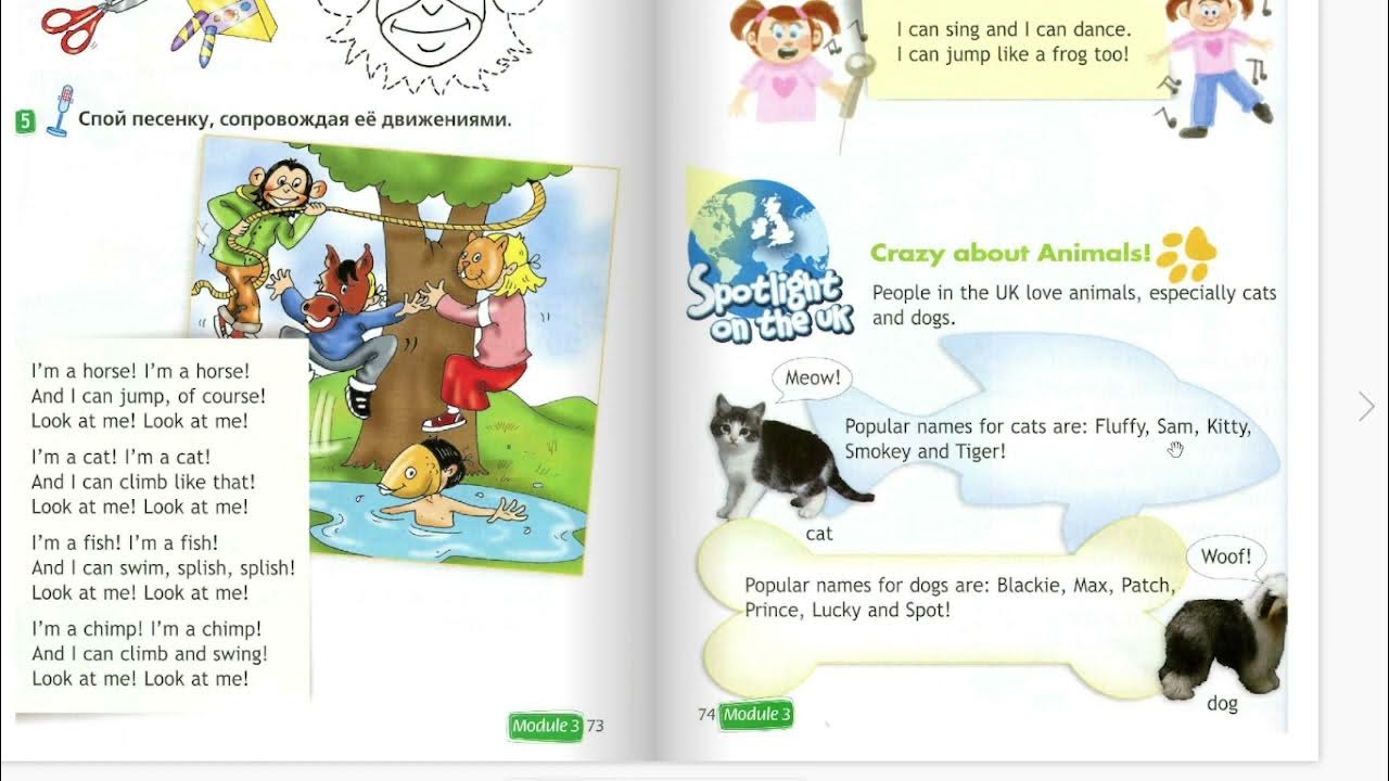 Спотлайт 2 часть 2 стр 25. My animals Spotlight 2 класс. 2 Класс урок animals. Crazy about animals 2 класс. Спотлайт 2 класс Аnimals.