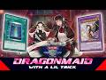 DRAGONMAID - WCS 2026 ‼️ [Yu-Gi-Oh! Master Duel]​