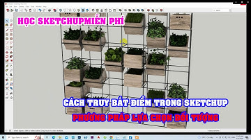 HỌC SKETCHUP MIỄN PHÍ - CÁCH TRUY BẮT ĐIỂM VÀ PHƯƠNG PHÁP LỰA CHỌN ĐỐI TƯỢNG TRONG SKETCHUP