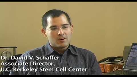 Stem Cell Research: Beyond the Controversy