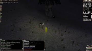 Vidalf One time drop - Dark Age of Camelot Uthgard Beta