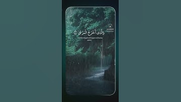 سبحان الله #islam#quran #ارح_سمعك #مصحف #قران #قرآن #تلاوات #القران_الكريم #آيات #الله #صلي_على_مح