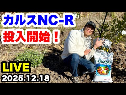 ゆるふわ園芸やっちゃんねる がライブ配信中！ - YouTube