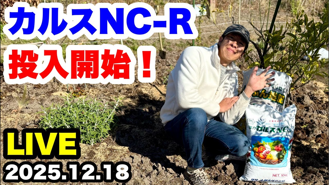 ◆◆ハッピーくうちゃん専用◆◆ゆるふわ園芸やっちゃんねる ゆるふわ園芸やっちゃんねる がライブ配信中！ - YouTube