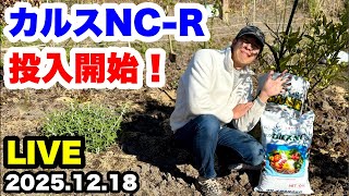 ゆるふわ園芸やっちゃんねる がライブ配信中！ - YouTube