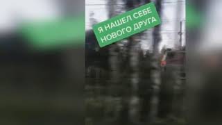 Я себе нашол нового друга