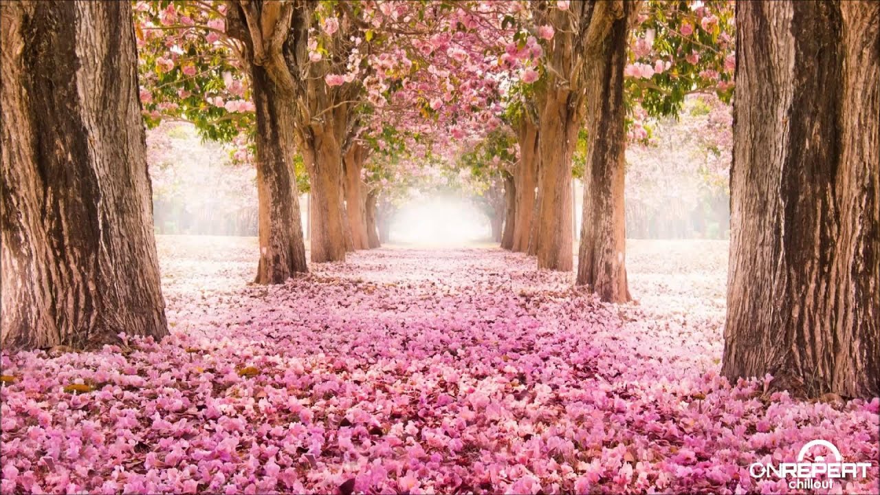Sleduj Dale Anderson & Anil Chawla | Leftorium (Ambient Mix) na YouTube