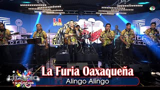 Video thumbnail of "La Furia Oaxaqueña - Alingo Alingo (Video Oficial)"
