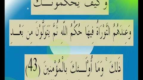 القران الكريم سورة المائدة الأية 43.wmv