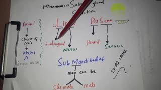 Mnemonic for type of Salivary gland secretion screenshot 5