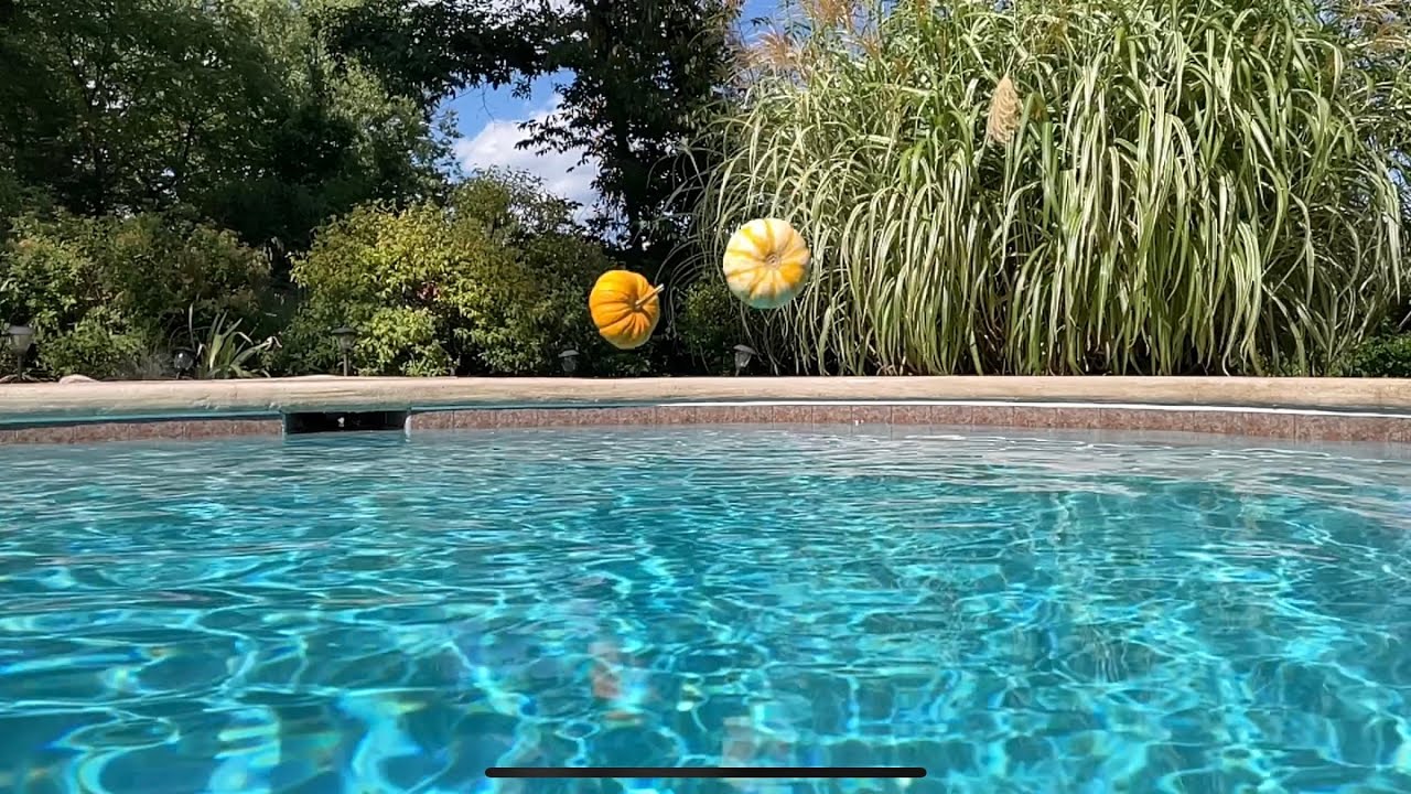 Fall is coming @Splash Pool - YouTube