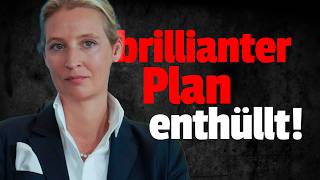 💥SCHOCK: So will die AfD Merz endgültig zu Fall bringen!