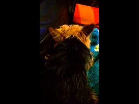 Mimi seizure 29.08.14