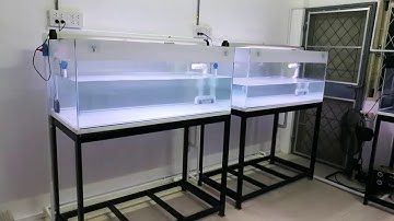 Kornchawan 2019 - งานระบบ Overflow ตู้ปลา 5 ใบ Set 2