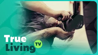 Download Lagu Dari Piksel ke Piston: Kisah Cinta Seorang Fotografer dengan Mobil | Impian Garasi | True Living TV MP3 Download Lagu Dari Piksel ke Piston: Kisah Cinta Seorang Fotografer dengan Mobil | Impian Garasi | True Living TV MP3