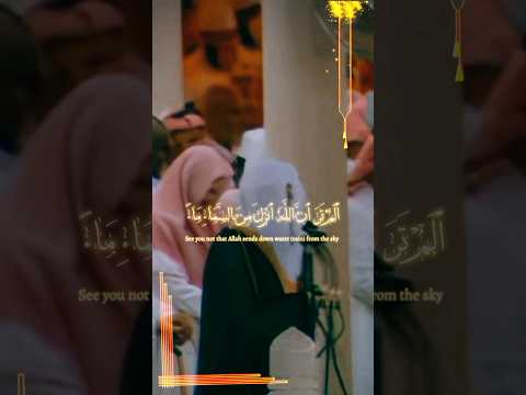 تلاوة نادرة الشيخ د سعود الشريم