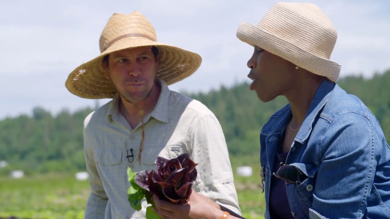 Local Roots Farm Duvall, WA Washington Grown YouTube