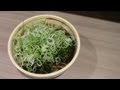 2013.6.25 西武線所沢駅狭山そば復活 春菊天そばねぎ増しを食す