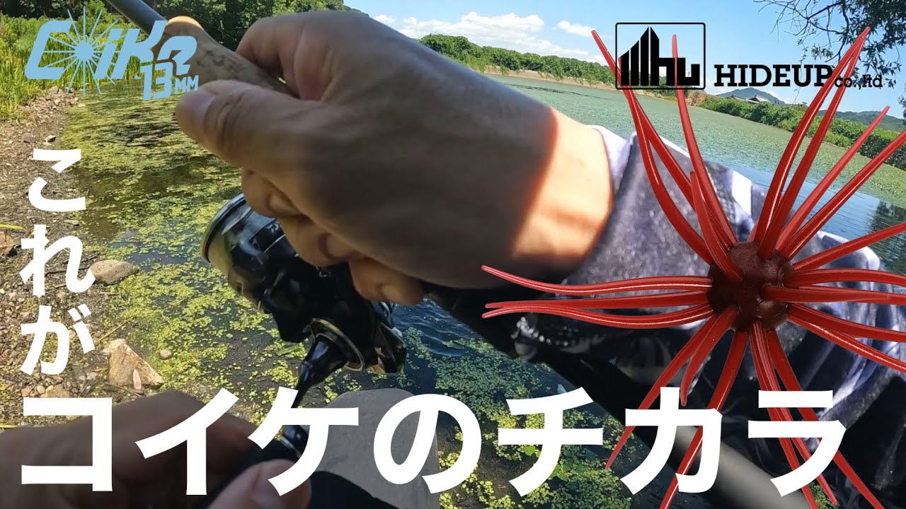 夏のバス釣り】釣れない人必見‼︎ これ投げるだけで釣れます