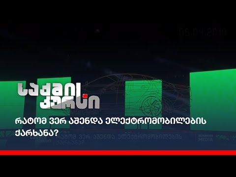 რატომ ვერ აშენდა ელექტრომობილების ქარხანა?