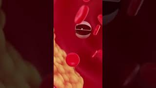 How Nanobots Could Help Humans Live Forever