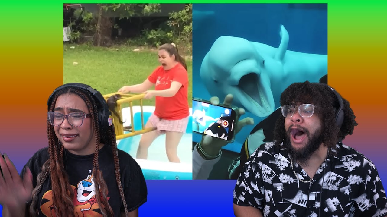 На неё напала белка?! | Ежедневная доза Интернета