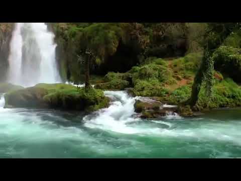 قراءة جماعية فلالية