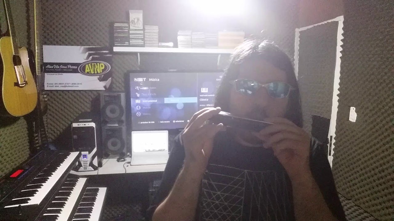 Alan Vila Nova Pessoa-Gaita CHROMATIC HARMONICA HERING'S 64 PROFESSIONAL