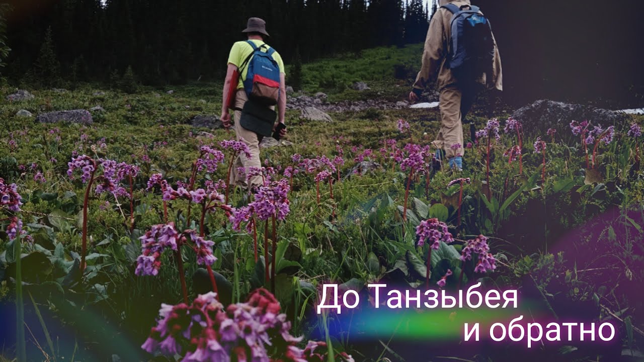 ХАКАССКИЙ РАШ / СПЕЦПРАКТИКА ботаников БИ ТГУ / Вы не знаете о ТАНЗЫБЕЕ ...