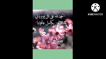 🌹قراءة جميلة وراحة نفسية لما تسمع القرآن 🌹اللهم اجعلنا واياكم من حفظة القران الكريم يا رب 🤲