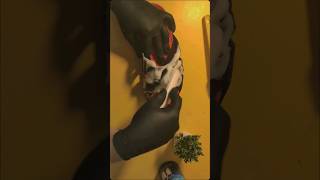 Satisfying Flip - Flop Cleaning