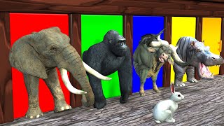 Wild Animals Choose the Right Mystery Door, Cow Elephant Gorilla Max Level water crossing Fountain