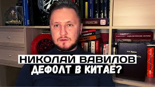 Николай Вавилов. Экономика Китая после «великого перелома». Evergrande