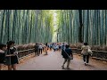 VLOG#4 KYOTO JAPAN - BAMBOO FOREST