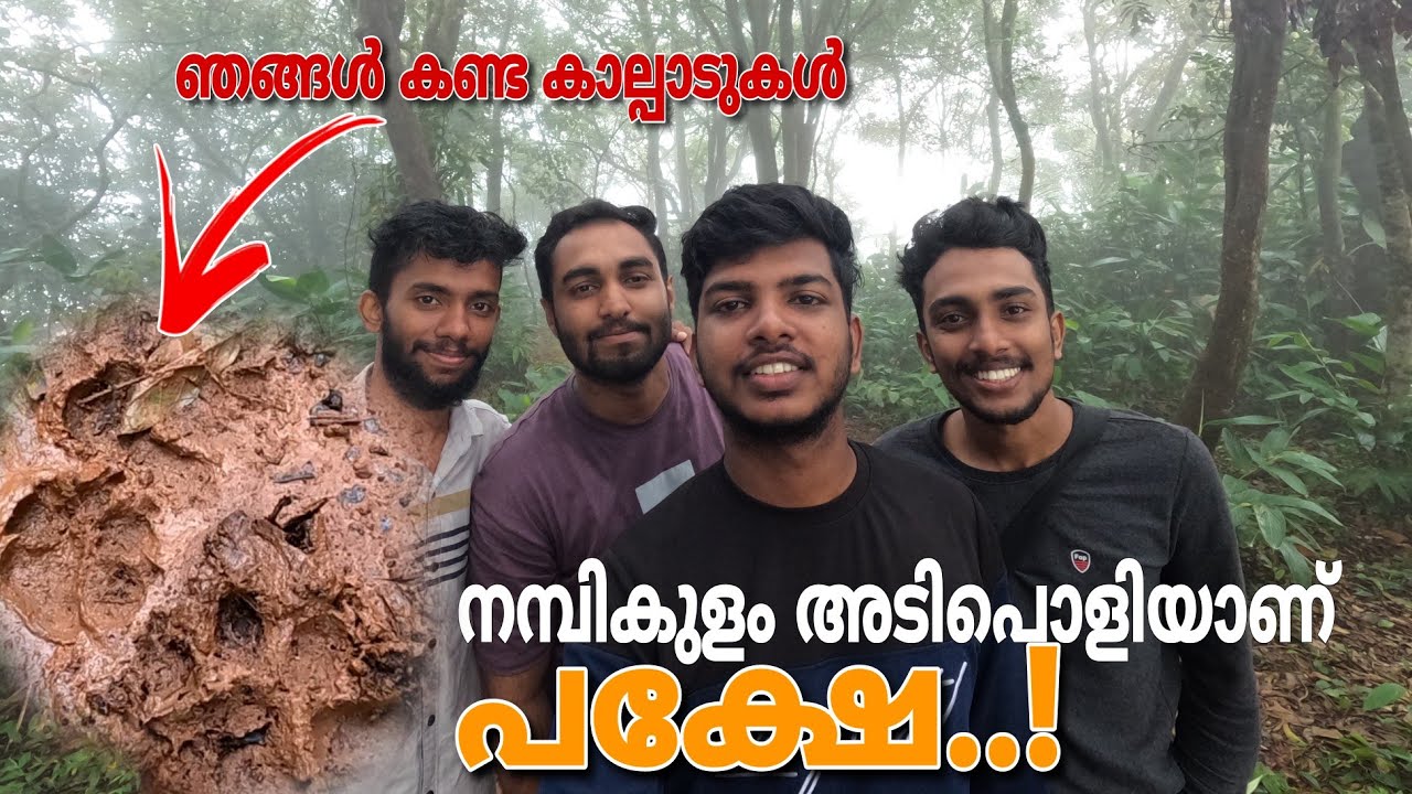 ശബ്ദം കേട്ട് പേടിച്ചോടി🤕😮 | nambikulam | Vascodansvlog | Kozhikode| #travelvlog #tiger #vascodans