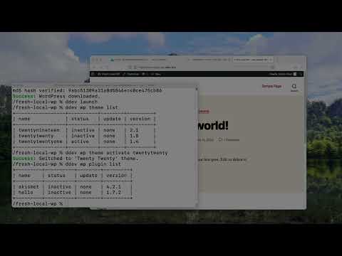 DDEV WordPress quickstart via WP-CLI: Setup a local WordPress site