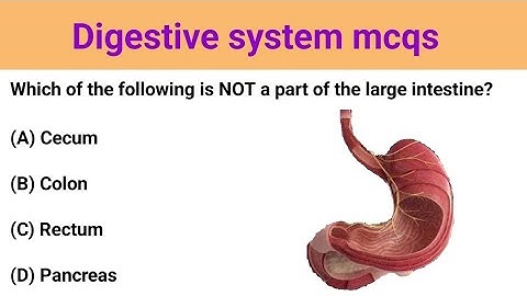Know about Digestive System II Important MCQs (multiple choice questions) with answer in hindi