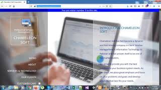 Chameleon Soft - A Software Development Company screenshot 5