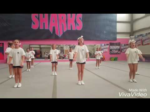 Savannah Sharks Cheering practice! ?