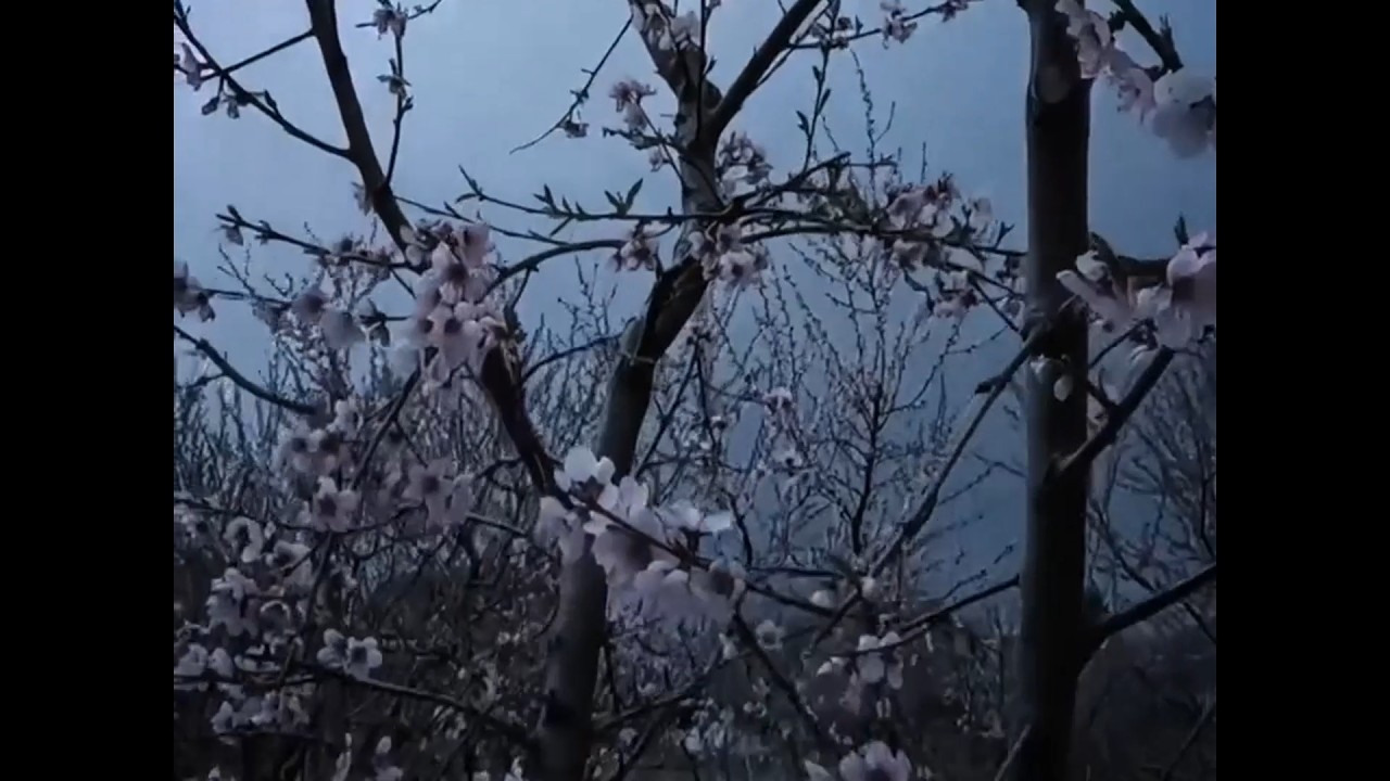 ambient + experimental type beat 