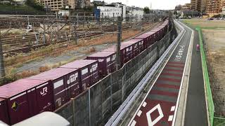 東海道貨物線 EF210-324 横浜羽沢駅貨物ターミナル通過シーン