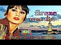    مترجمه في اللغه العربيه    