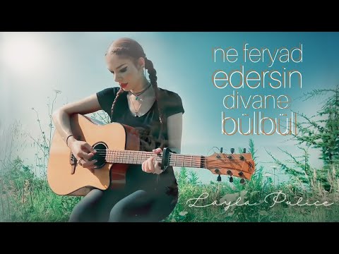 Layla Puliçe - Ne Feryad Edersin Divane Bülbül ( video )