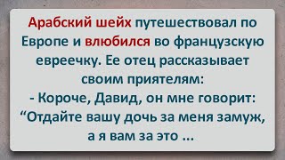 ✡️ Арабский Шейх Возжелал Евреечку! Еврейские Анекдоты! Анекдоты Про Евреев! Выпуск #328