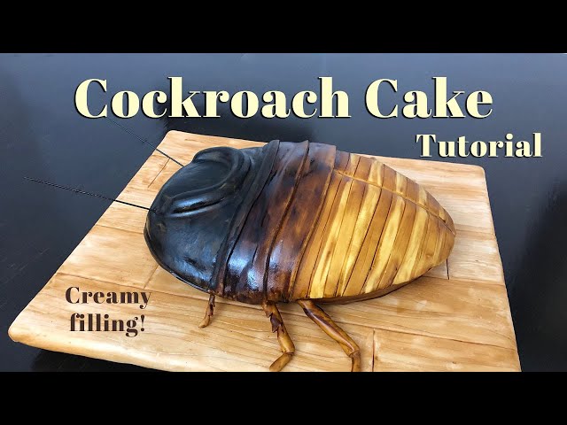 Send Oggy and the cockroach photo cake Online | Free Delivery | Gift Jaipur