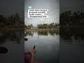 #shortsvideo #mancing 🤭