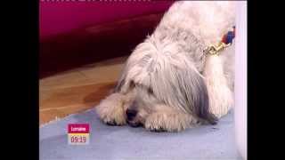 ASHLEIGH & PUDSEY (BRITAIN'S GOT TALENT 2012 WINNERS) INTERVIEW ON LORRAINE.